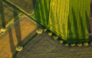 Agriculture